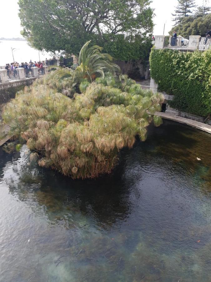 La Casa Di Manu Ortigia Villa Siraküza Dış mekan fotoğraf